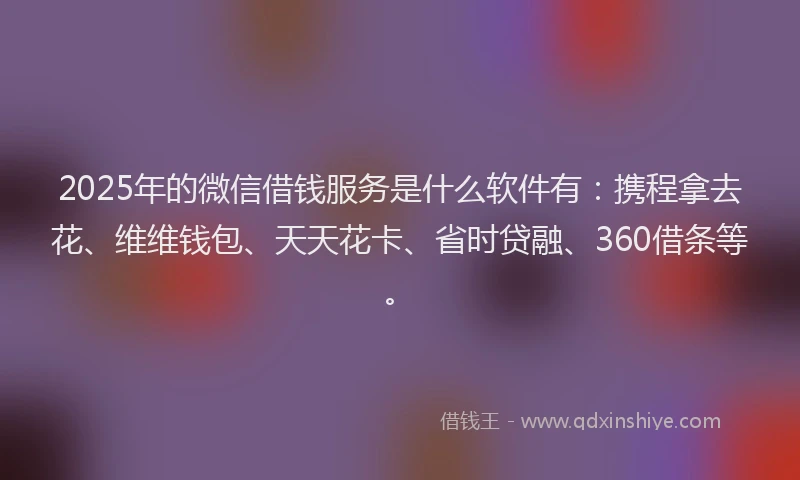 2025年的微信借钱服务是什么软件有：携程拿去花、维维钱包、天天花卡、省时贷融、360借条等。