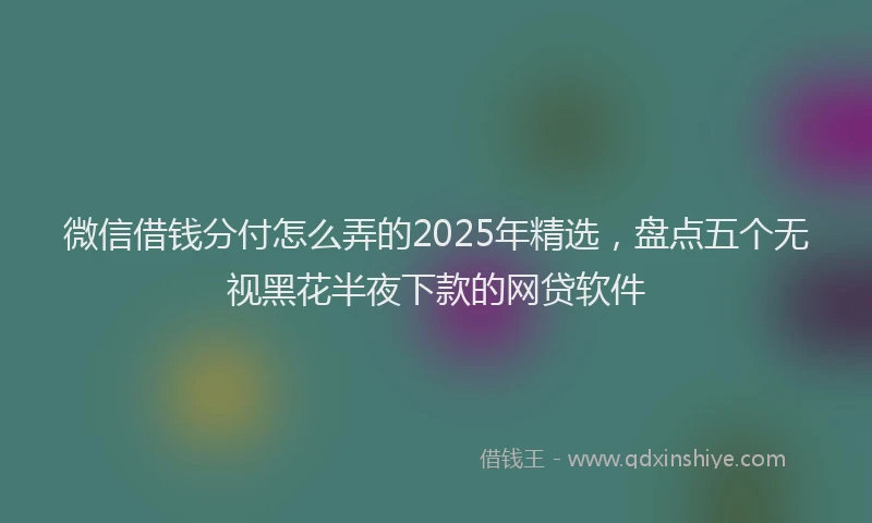 微信借钱分付怎么弄的2025年精选，盘点五个无视黑花半夜下款的网贷软件