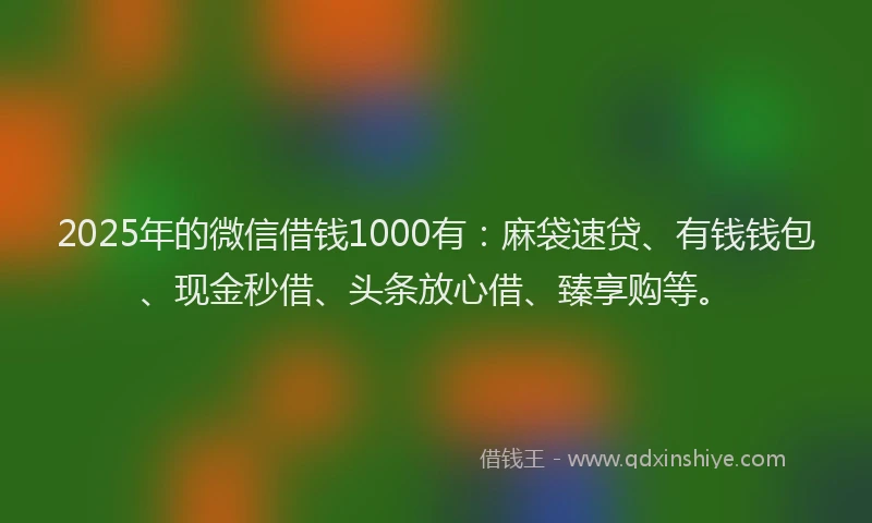 2025年的微信借钱1000有：麻袋速贷、有钱钱包、现金秒借、头条放心借、臻享购等。