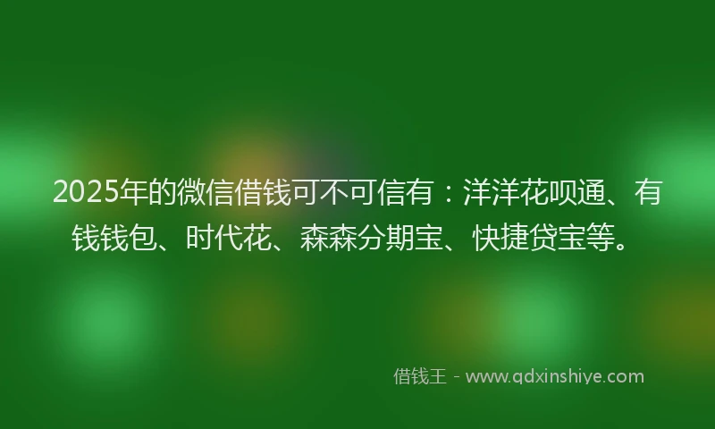 2025年的微信借钱可不可信有：洋洋花呗通、有钱钱包、时代花、森森分期宝、快捷贷宝等。