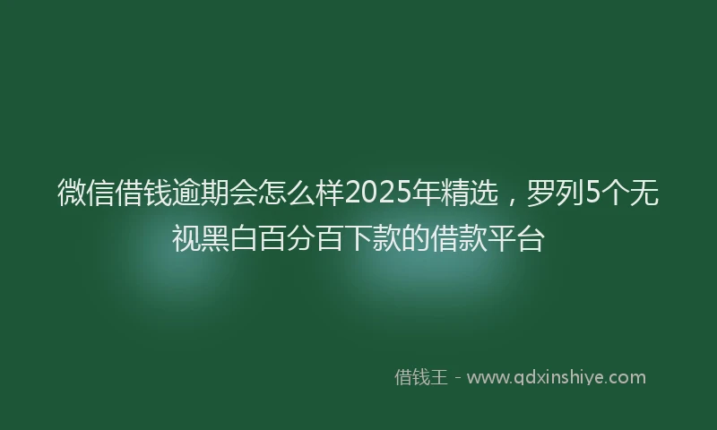 微信借钱逾期会怎么样2025年精选，罗列5个无视黑白百分百下款的借款平台