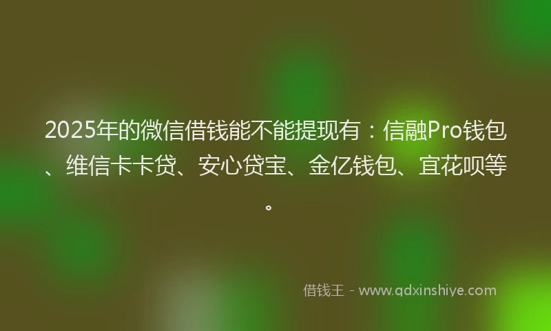 2025年的微信借钱能不能提现有：信融Pro钱包、维信卡卡贷、安心贷宝、金亿钱包、宜花呗等。