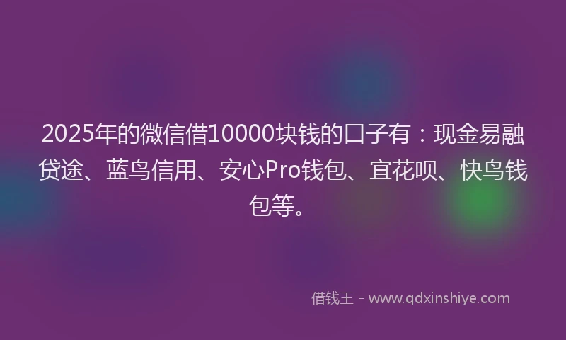 2025年的微信借10000块钱的口子有：现金易融贷途、蓝鸟信用、安心Pro钱包、宜花呗、快鸟钱包等。