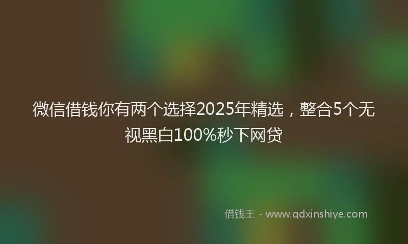 微信借钱你有两个选择2025年精选，整合5个无视黑白100%秒下网贷