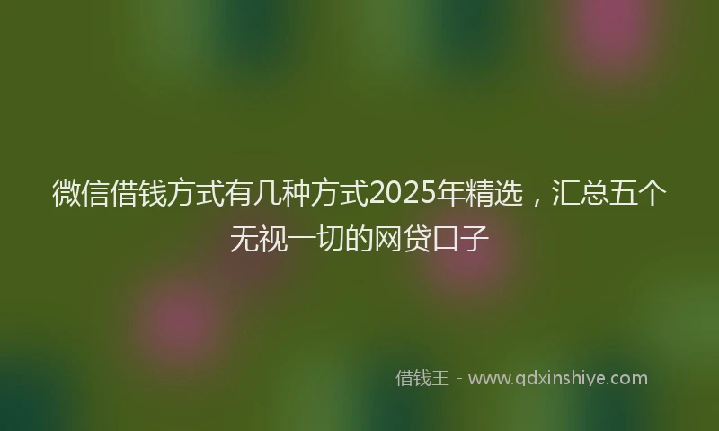 微信借钱方式有几种方式2025年精选，汇总五个无视一切的网贷口子