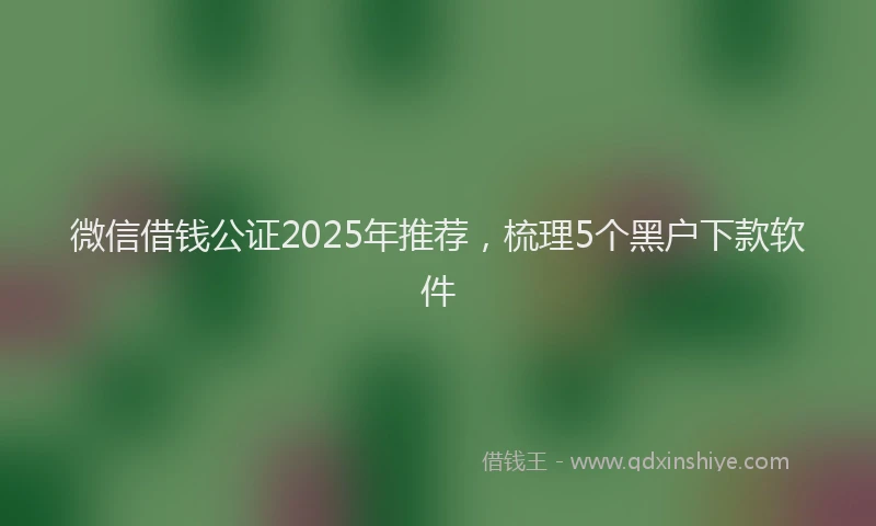 微信借钱公证2025年推荐，梳理5个黑户下款软件