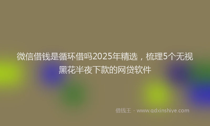 微信借钱是循环借吗2025年精选，梳理5个无视黑花半夜下款的网贷软件