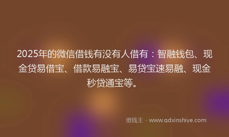 2025年的微信借钱有没有人借有：智融钱包、现金贷易借宝、借款易融宝、易贷宝速易融、现金秒贷通宝等。