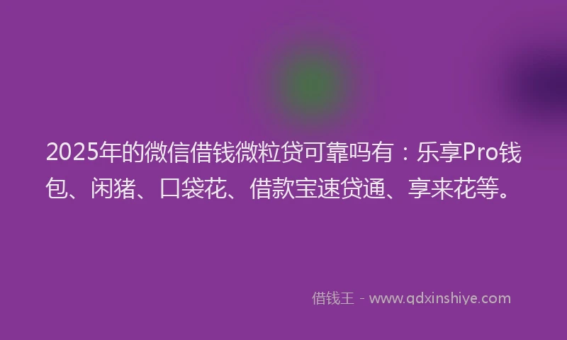 2025年的微信借钱微粒贷可靠吗有：乐享Pro钱包、闲猪、口袋花、借款宝速贷通、享来花等。
