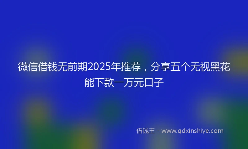 微信借钱无前期2025年推荐，分享五个无视黑花能下款一万元口子