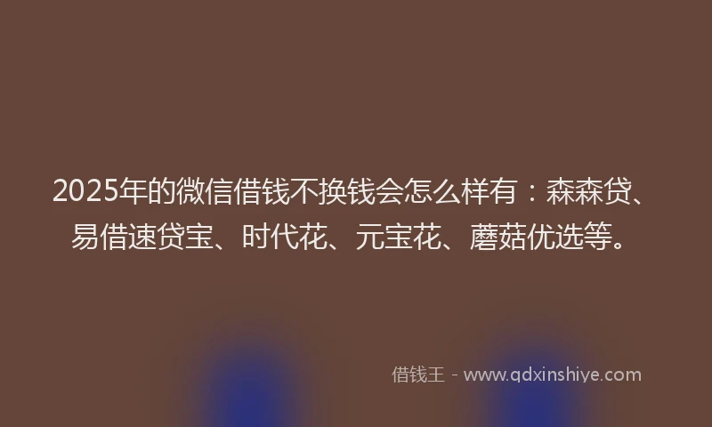 2025年的微信借钱不换钱会怎么样有：森森贷、易借速贷宝、时代花、元宝花、蘑菇优选等。