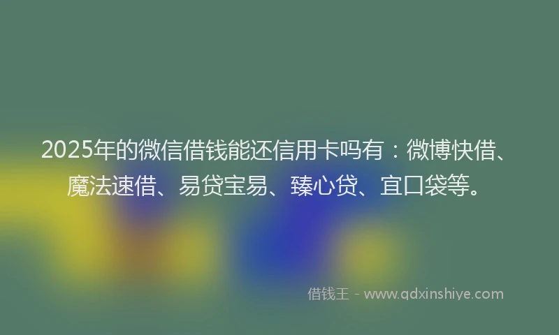 2025年的微信借钱能还信用卡吗有：微博快借、魔法速借、易贷宝易、臻心贷、宜口袋等。