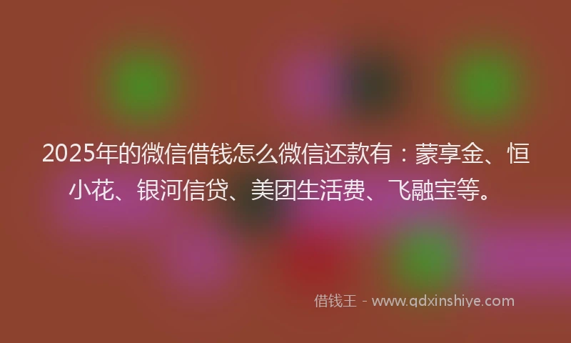 2025年的微信借钱怎么微信还款有：蒙享金、恒小花、银河信贷、美团生活费、飞融宝等。