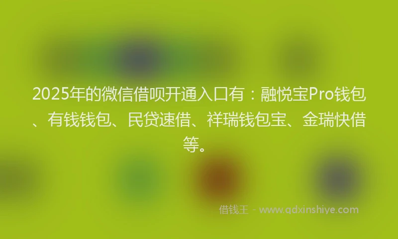 2025年的微信借呗开通入口有：融悦宝Pro钱包、有钱钱包、民贷速借、祥瑞钱包宝、金瑞快借等。