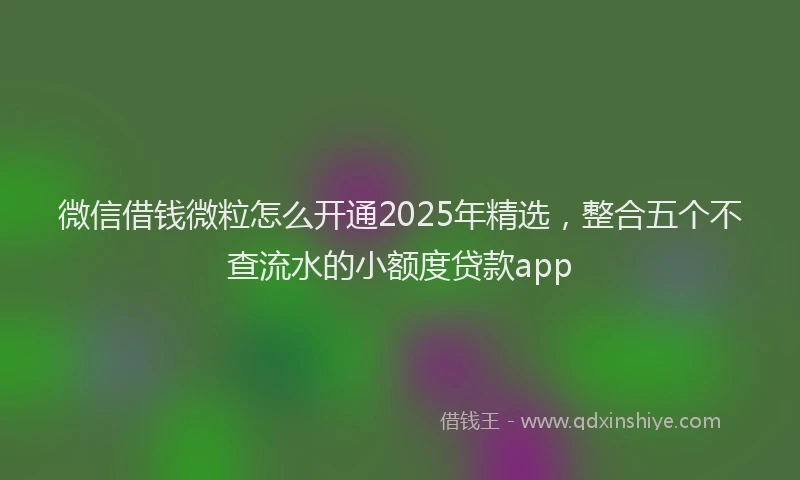 微信借钱微粒怎么开通2025年精选，整合五个不查流水的小额度贷款app