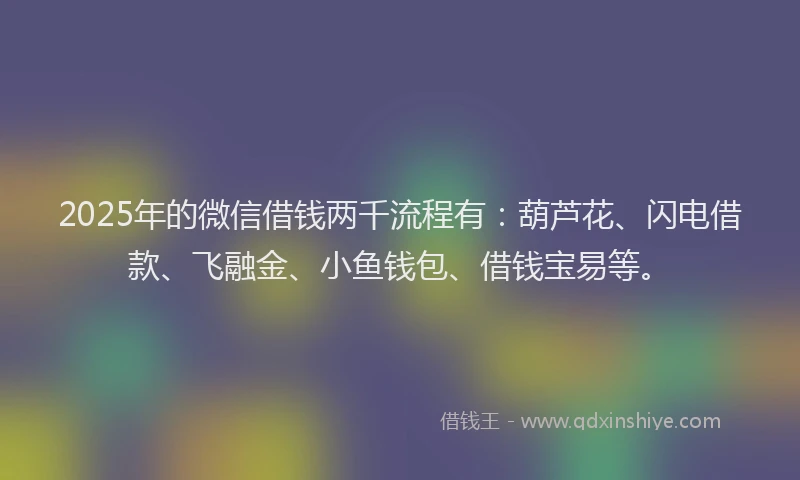 2025年的微信借钱两千流程有：葫芦花、闪电借款、飞融金、小鱼钱包、借钱宝易等。