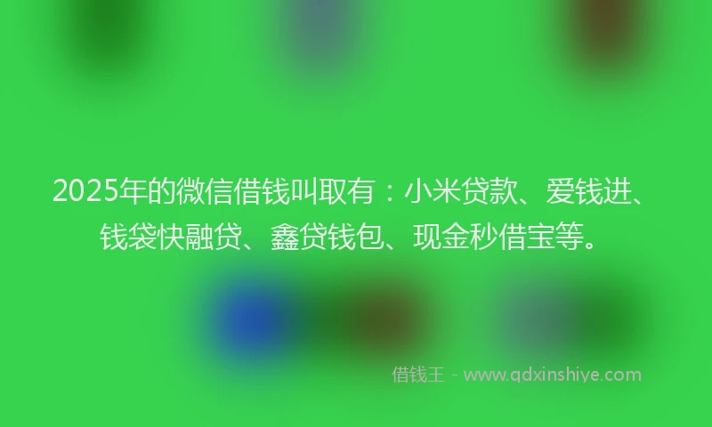2025年的微信借钱叫取有：小米贷款、爱钱进、钱袋快融贷、鑫贷钱包、现金秒借宝等。