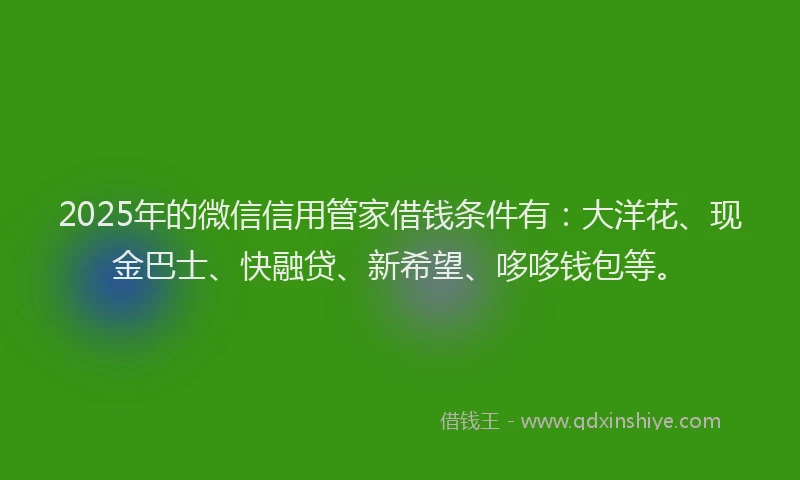 2025年的微信信用管家借钱条件有：大洋花、现金巴士、快融贷、新希望、哆哆钱包等。