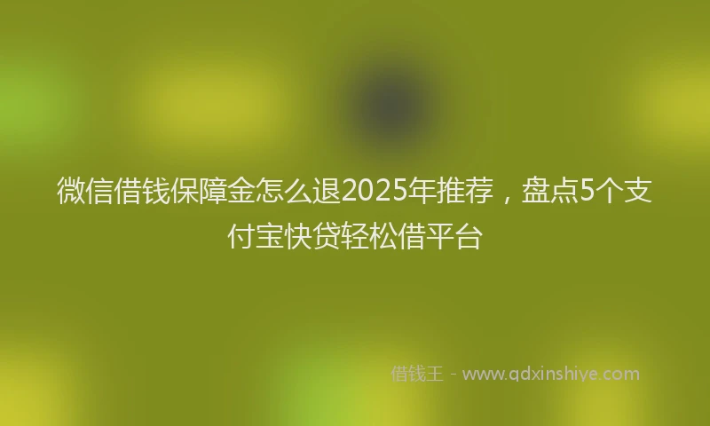 微信借钱保障金怎么退2025年推荐，盘点5个支付宝快贷轻松借平台