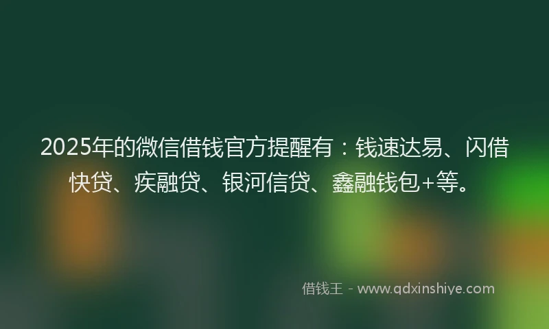 2025年的微信借钱官方提醒有：钱速达易、闪借快贷、疾融贷、银河信贷、鑫融钱包+等。