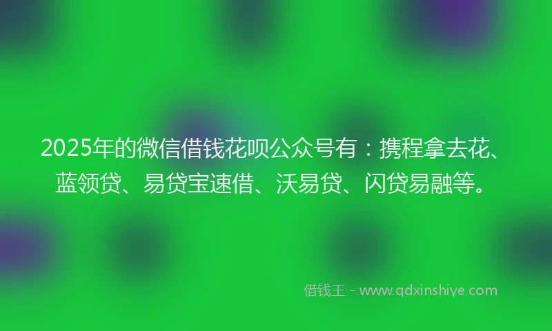 2025年的微信借钱花呗公众号有：携程拿去花、蓝领贷、易贷宝速借、沃易贷、闪贷易融等。