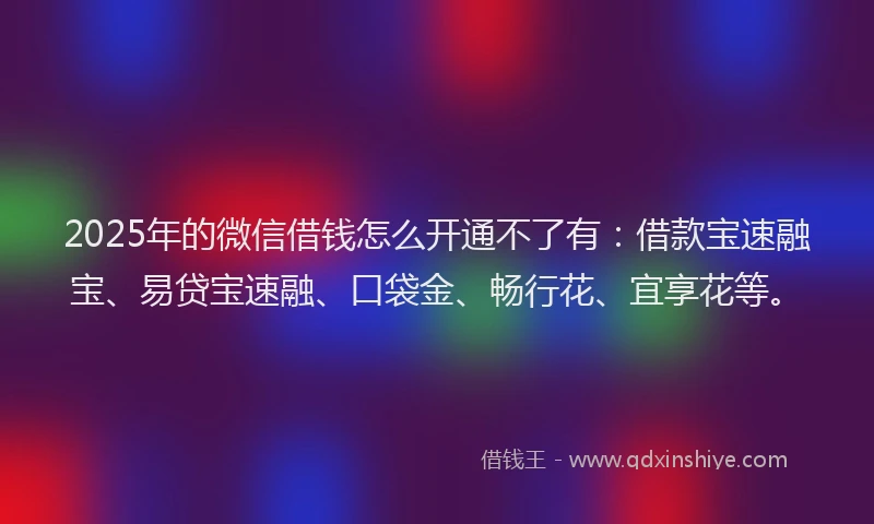 2025年的微信借钱怎么开通不了有：借款宝速融宝、易贷宝速融、口袋金、畅行花、宜享花等。