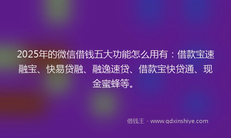 2025年的微信借钱五大功能怎么用有：借款宝速融宝、快易贷融、融逸速贷、借款宝快贷通、现金蜜蜂等。