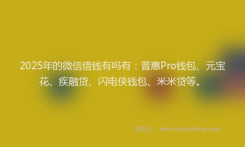 2025年的微信借钱有吗有：普惠Pro钱包、元宝花、疾融贷、闪电侠钱包、米米贷等。