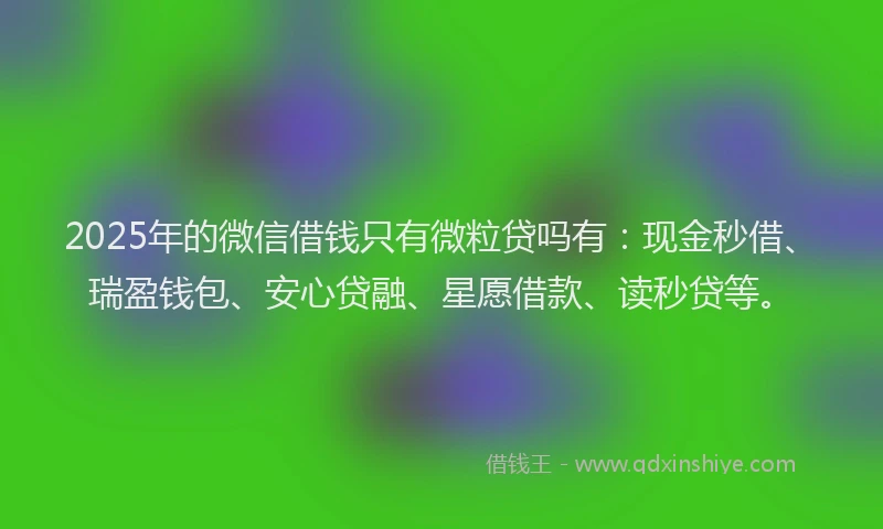 2025年的微信借钱只有微粒贷吗有：现金秒借、瑞盈钱包、安心贷融、星愿借款、读秒贷等。