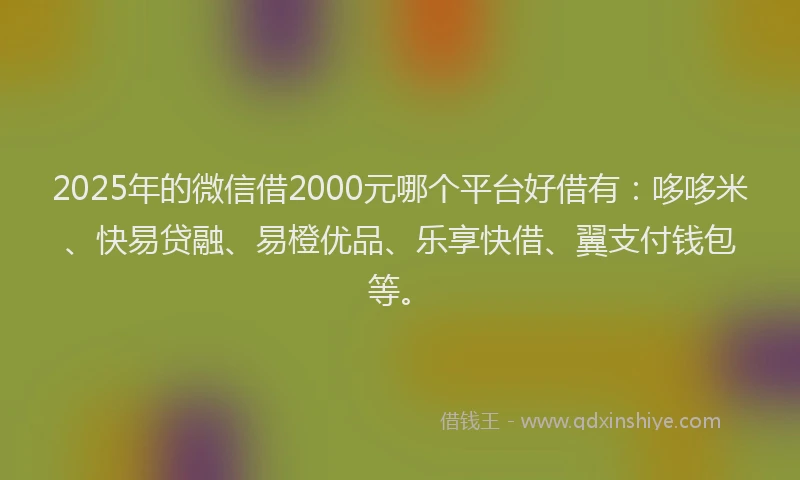 2025年的微信借2000元哪个平台好借有：哆哆米、快易贷融、易橙优品、乐享快借、翼支付钱包等。