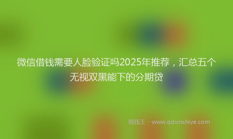 微信借钱需要人脸验证吗2025年推荐，汇总五个无视双黑能下的分期贷