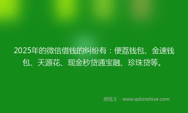 2025年的微信借钱的纠纷有：便荔钱包、金速钱包、天源花、现金秒贷通宝融、珍珠贷等。