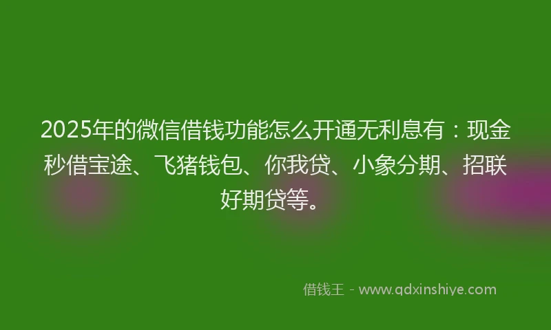 2025年的微信借钱功能怎么开通无利息有：现金秒借宝途、飞猪钱包、你我贷、小象分期、招联好期贷等。