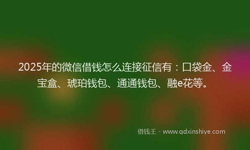 2025年的微信借钱怎么连接征信有：口袋金、金宝盒、琥珀钱包、通通钱包、融e花等。