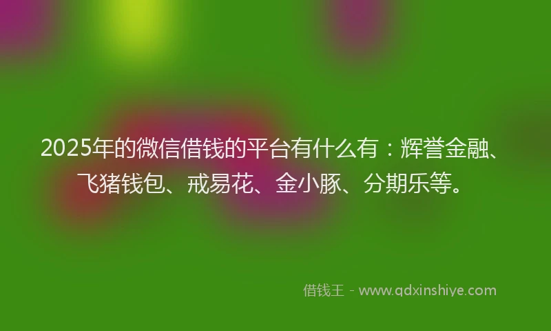 2025年的微信借钱的平台有什么有：辉誉金融、飞猪钱包、戒易花、金小豚、分期乐等。
