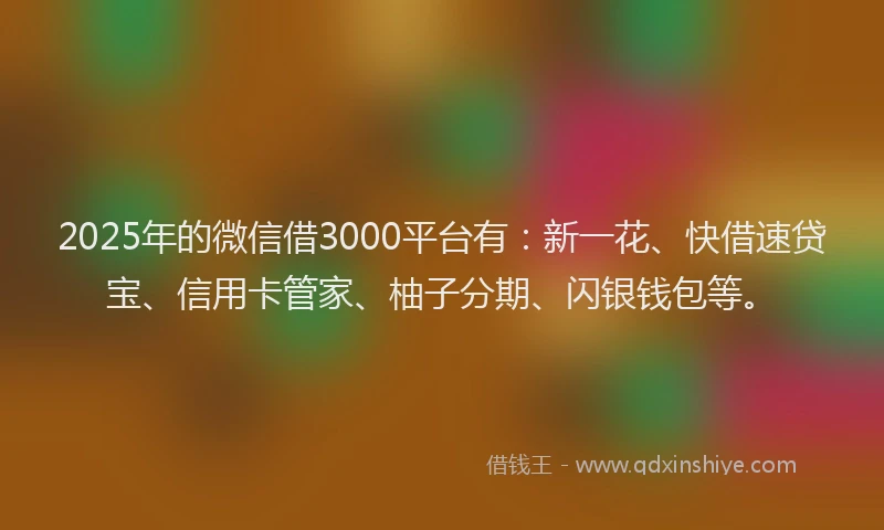 2025年的微信借3000平台有：新一花、快借速贷宝、信用卡管家、柚子分期、闪银钱包等。