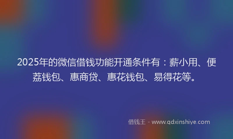 2025年的微信借钱功能开通条件有：薪小用、便荔钱包、惠商贷、惠花钱包、易得花等。