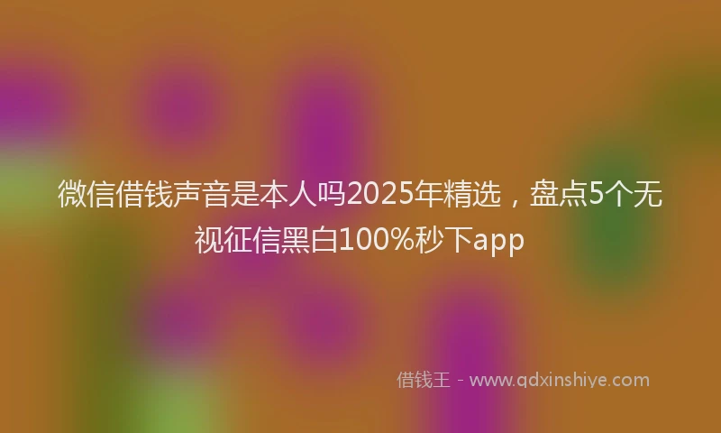 微信借钱声音是本人吗2025年精选，盘点5个无视征信黑白100%秒下app