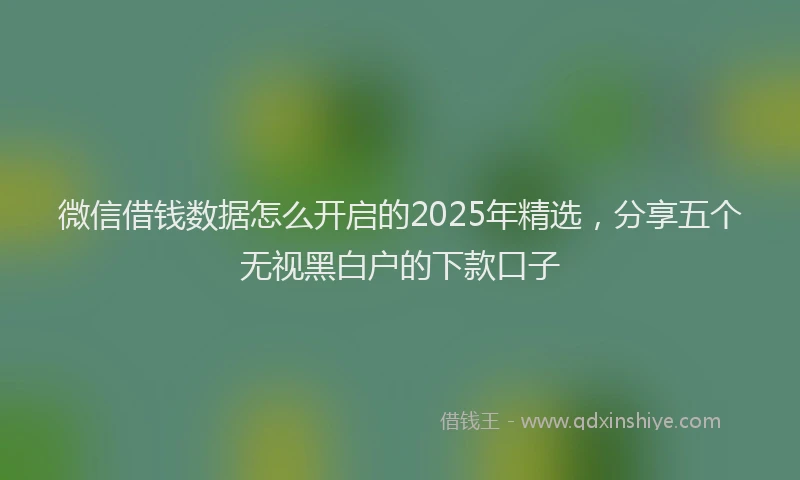 微信借钱数据怎么开启的2025年精选，分享五个无视黑白户的下款口子