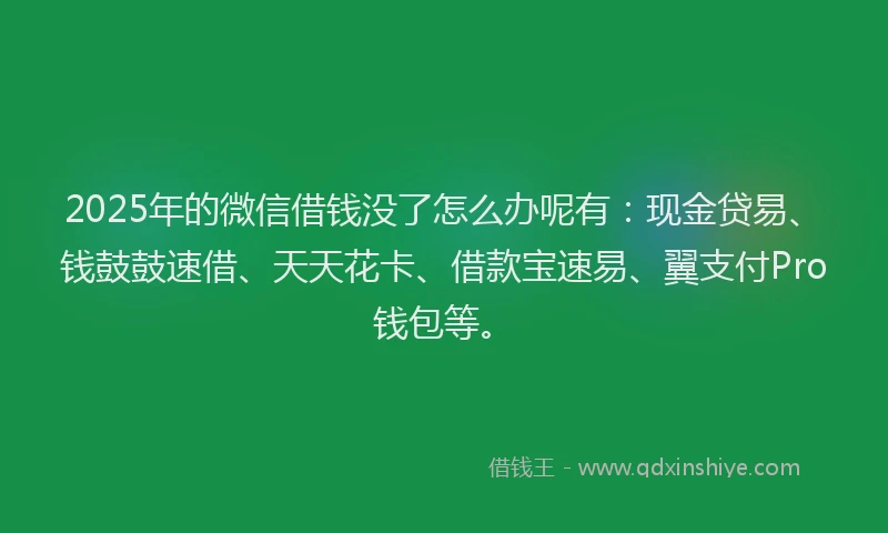 2025年的微信借钱没了怎么办呢有：现金贷易、钱鼓鼓速借、天天花卡、借款宝速易、翼支付Pro钱包等。