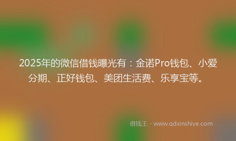 2025年的微信借钱曝光有：金诺Pro钱包、小爱分期、正好钱包、美团生活费、乐享宝等。