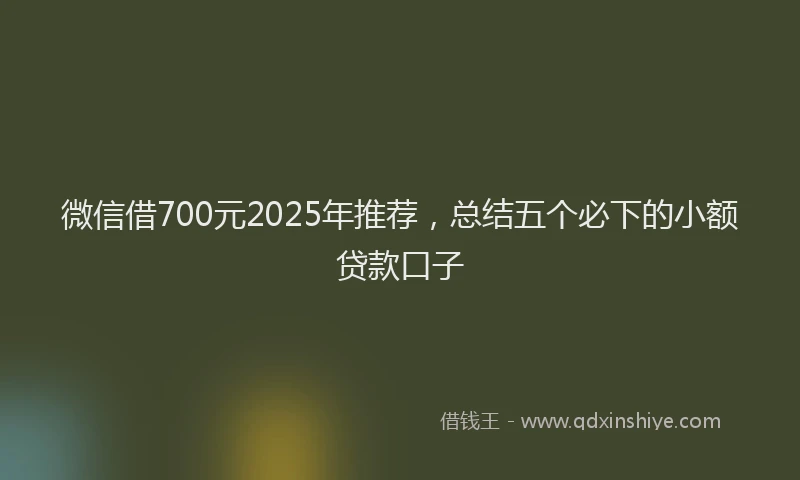 微信借700元2025年推荐，总结五个必下的小额贷款口子