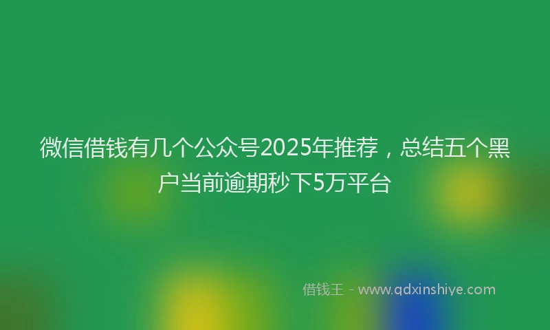 微信借钱有几个公众号2025年推荐，总结五个黑户当前逾期秒下5万平台