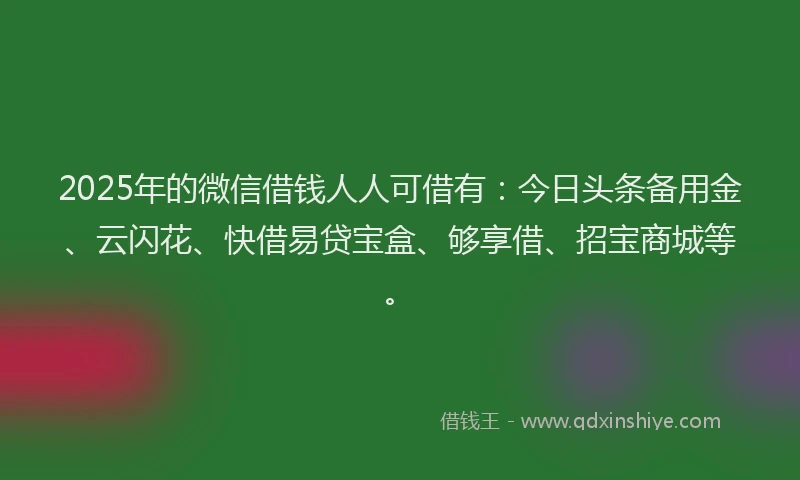 2025年的微信借钱人人可借有：今日头条备用金、云闪花、快借易贷宝盒、够享借、招宝商城等。