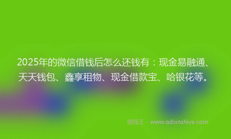 2025年的微信借钱后怎么还钱有：现金易融通、天天钱包、鑫享租物、现金借款宝、哈银花等。