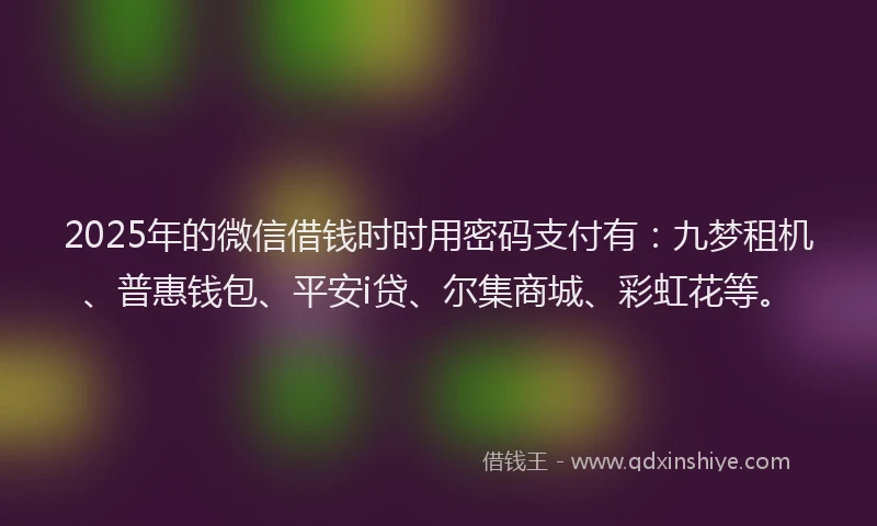 2025年的微信借钱时时用密码支付有：九梦租机、普惠钱包、平安i贷、尔集商城、彩虹花等。