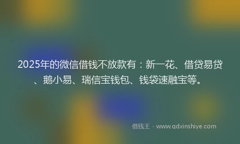 2025年的微信借钱不放款有：新一花、借贷易贷、鹅小易、瑞信宝钱包、钱袋速融宝等。