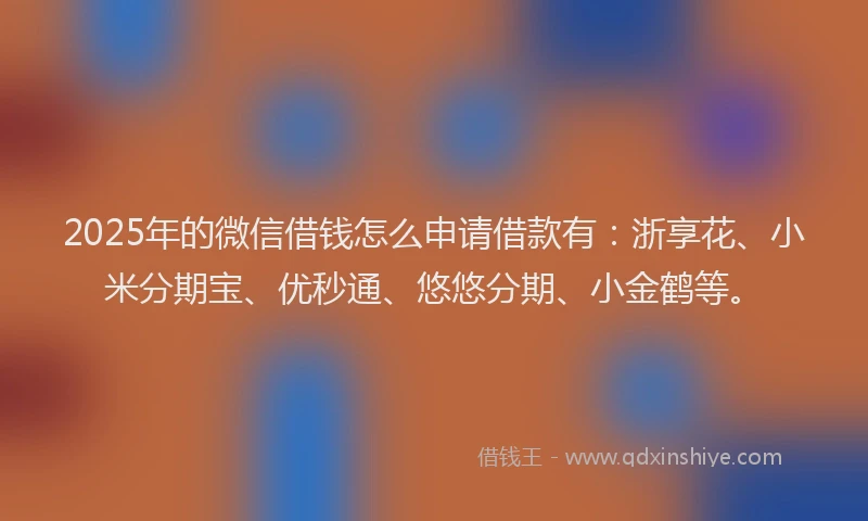 2025年的微信借钱怎么申请借款有：浙享花、小米分期宝、优秒通、悠悠分期、小金鹤等。