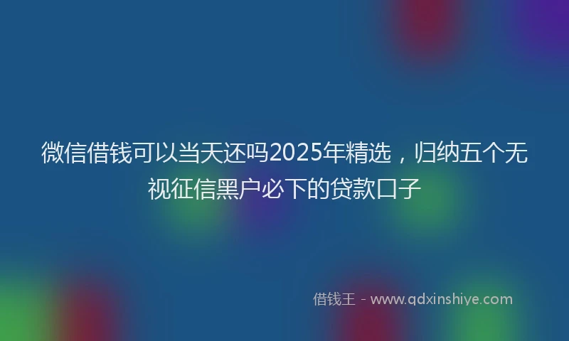 微信借钱可以当天还吗2025年精选，归纳五个无视征信黑户必下的贷款口子