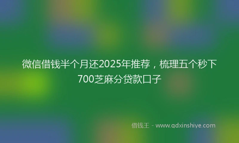 微信借钱半个月还2025年推荐，梳理五个秒下700芝麻分贷款口子